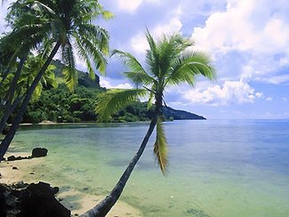 Новые конституционные реформы обязали отели Доминиканы обеспечить общий доступ к пляжам.