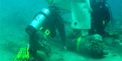 Подводный пиратский музей ждет посетителей на острове Каталина